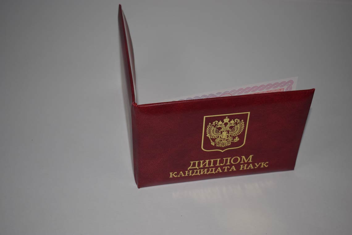 Диплом Кандидата Наук 2013-2016 в Петрозаводске корка
