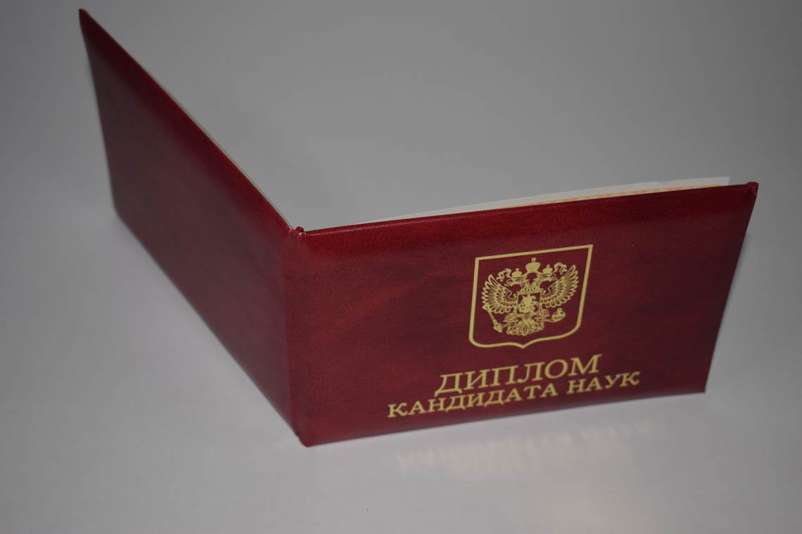 Диплом Кандидата Наук 2017-2025 в Петрозаводске корка